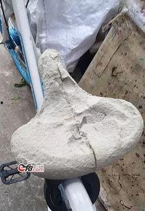 英德共享单车最新爆料,揭秘行业最新爆料与未来趋势  第1张