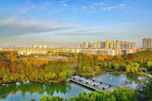 郑州大学城爆料事件最新,揭秘校园安全与管理的隐忧  第3张