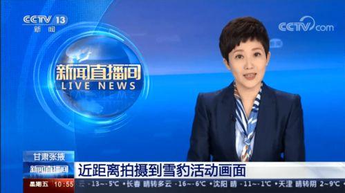 仁化媒体爆料新闻事件视频,新闻事件视频背后的真相 第1张 仁化媒体爆料新闻事件视频,新闻事件视频背后的真相 第1张