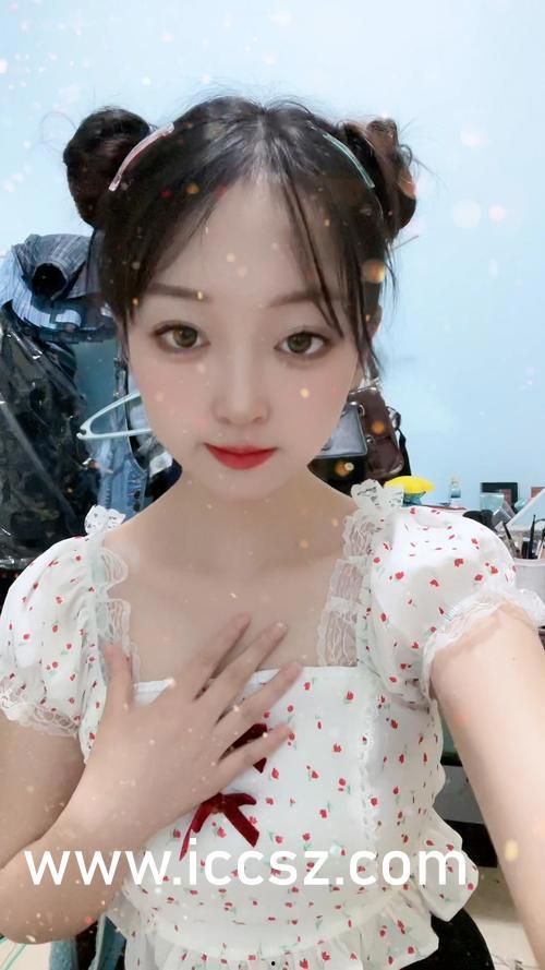 东北小厨娘爆料事件视频,揭秘厨房背后的真实故事