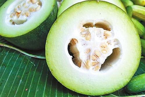 m718娱乐吃瓜,一场吃瓜盛宴背后的娱乐风云 第2张 m718娱乐吃瓜,一场吃瓜盛宴背后的娱乐风云 第2张